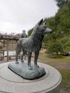 新潟白山神社