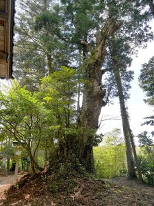 石武雄神社