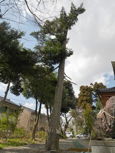 中川熊野神社