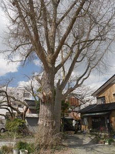 中川熊野神社