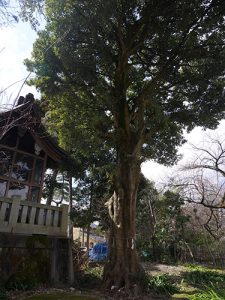 中川熊野神社