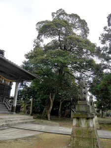 手向神社