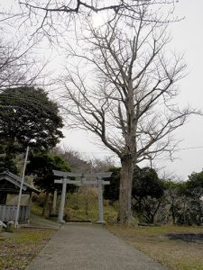 加茂廼神社