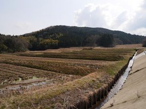 田ノ頭春日神社