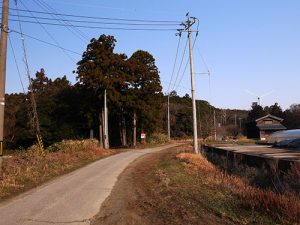 八雲神社