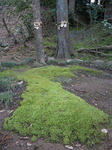 櫛比神社