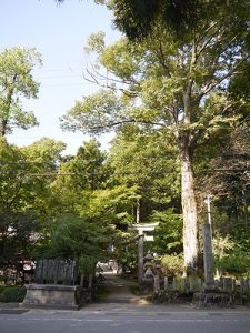 天日陰比咩神社