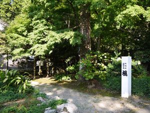 天日陰比咩神社