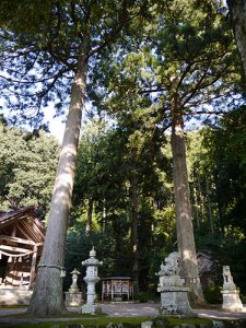 天日陰比咩神社