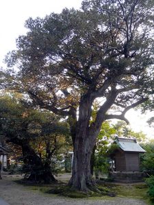 深江八幡神社