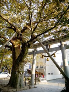 羽咋神社