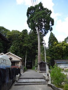 宿那彦神像石神社