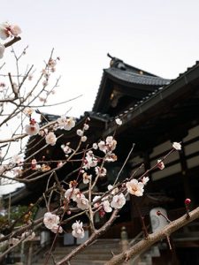 尾山神社