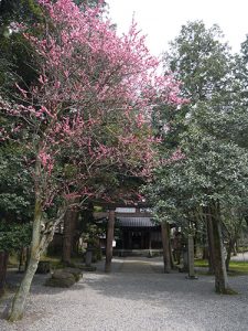 尾山神社