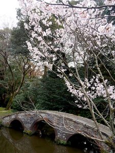 尾山神社