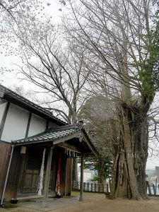 金山彦神社