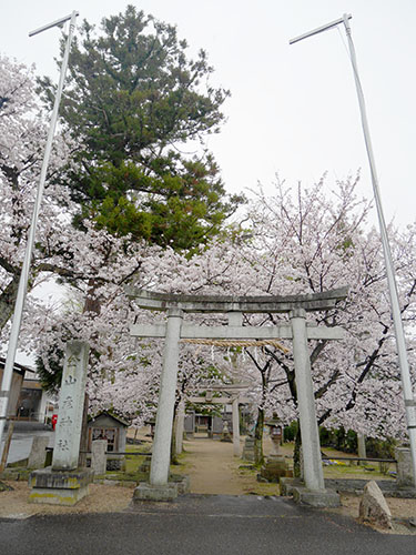 金山彦神