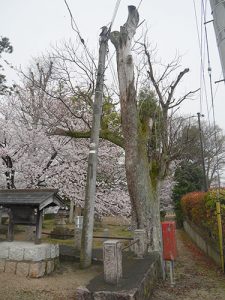 金山彦神社