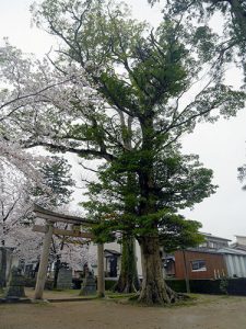 金山彦神社