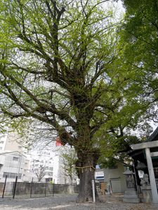 金山神社