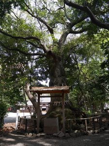 高座結御子神社