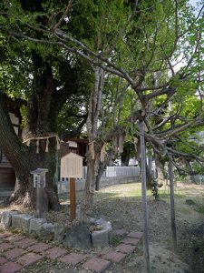 多奈波太神社