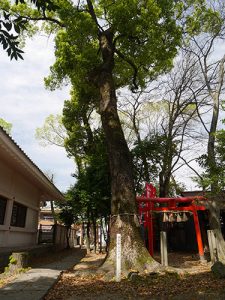 綿神社