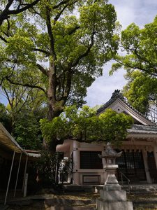 綿神社