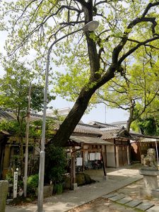 綿神社