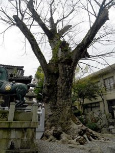 長岡神社