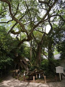 大山祇神社