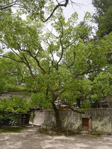 大山祇神社