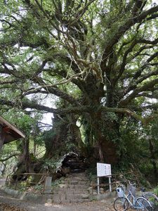 大山祇神社