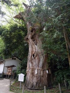 大山祇神社