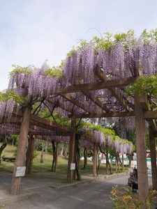 大山祇神社