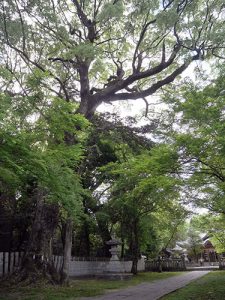 石岡神社