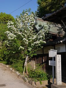 井手神社