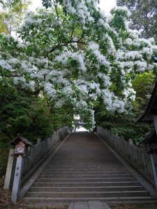 東雲神社