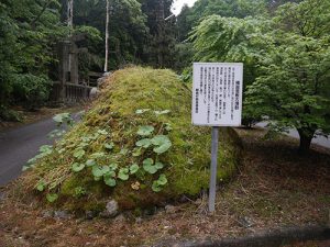 多岐神社