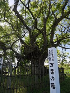 伊久礼神社旧地