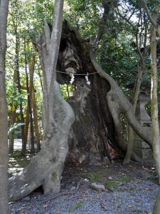 大野湊神社