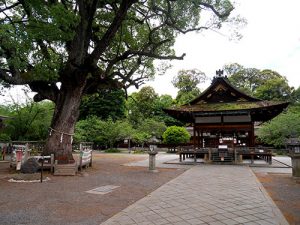 平野神社