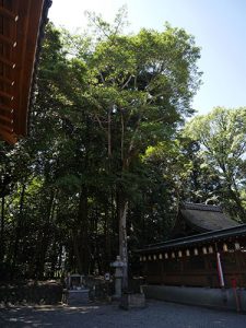 印岐志呂神社