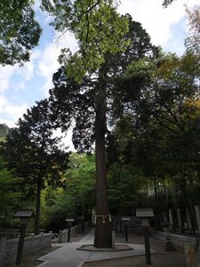 石鎚神社口之宮本社