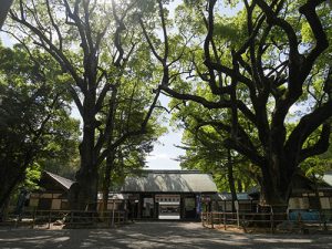 伊曽乃神社