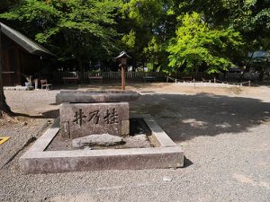 伊曽乃神社