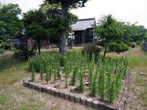 神明神社