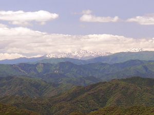 大山白山神社