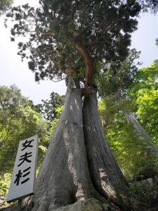 大山白山神社