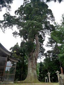 栴谷神社